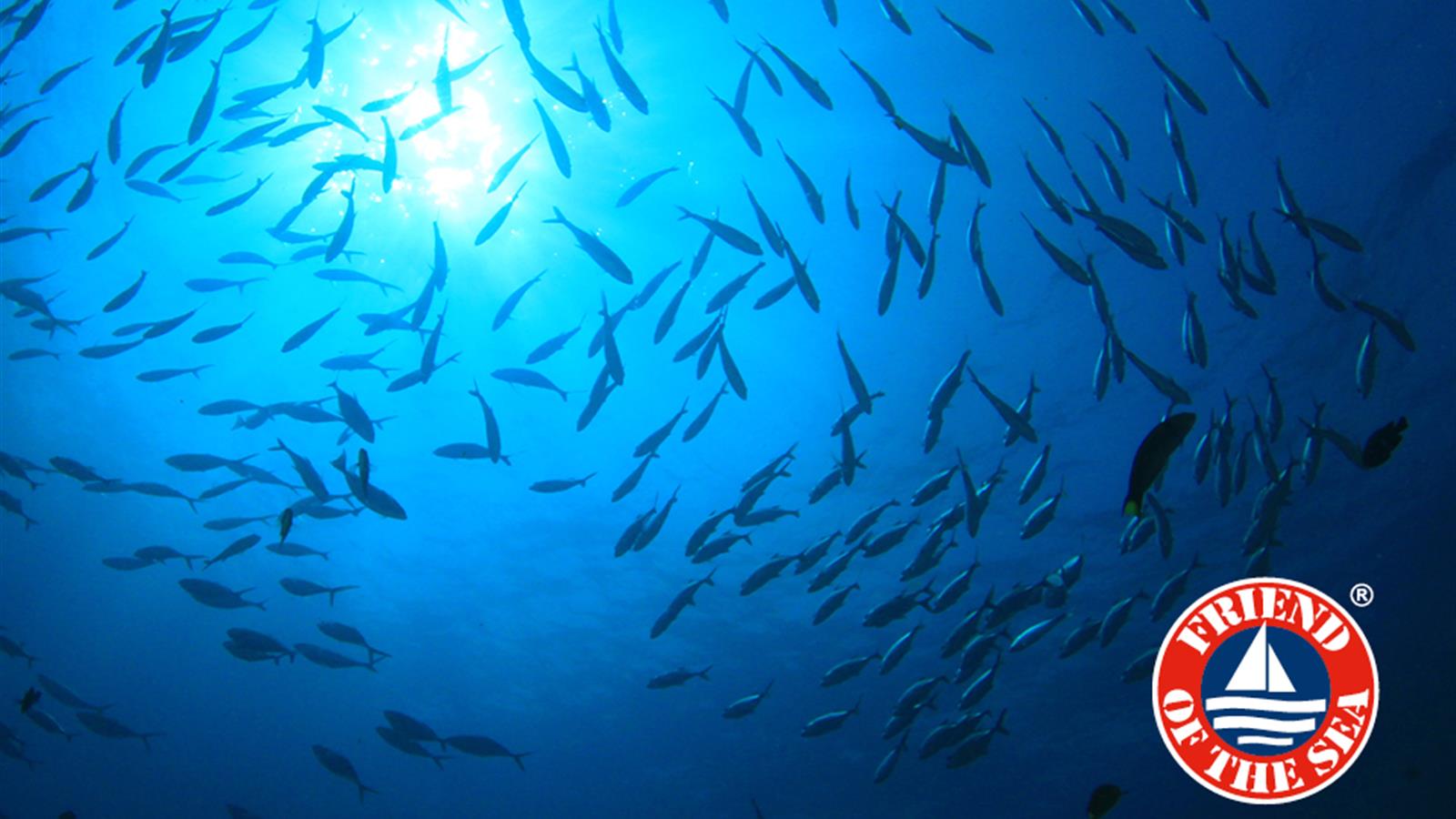 FRIEND OF THE SEA®