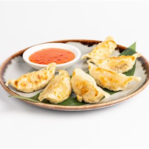 Gyoza di pollo